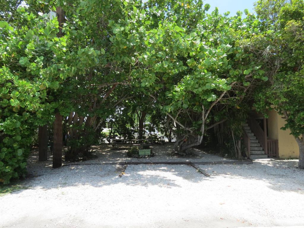 Motel Ed & Ellen'S Lodgings Key Largo Exterior foto