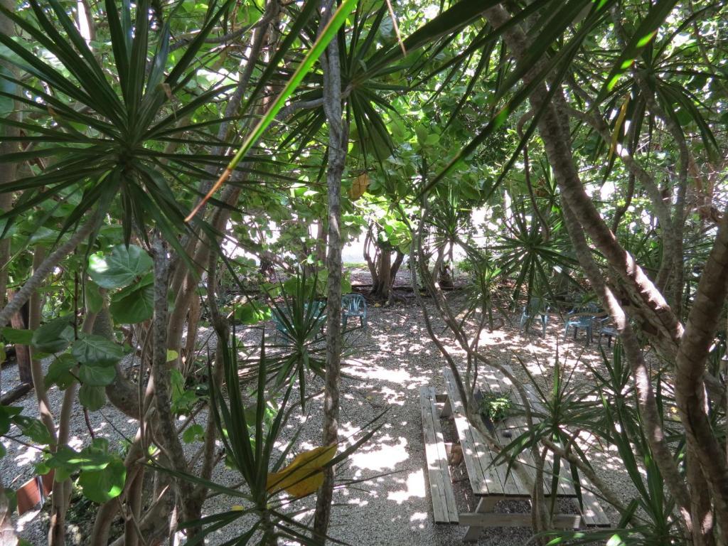 Motel Ed & Ellen'S Lodgings Key Largo Exterior foto