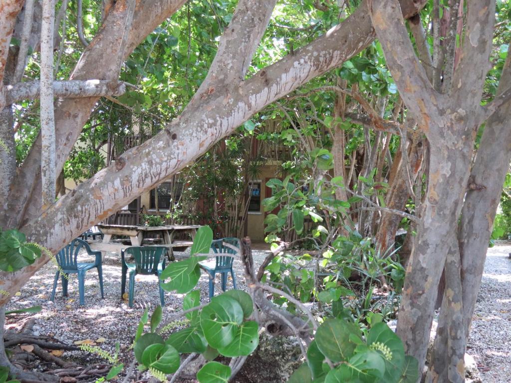 Motel Ed & Ellen'S Lodgings Key Largo Exterior foto
